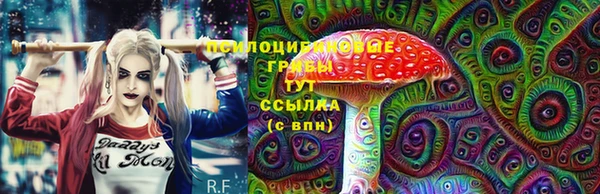 mdpv Приозерск