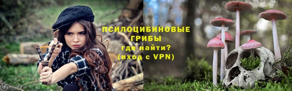 амф Алексин